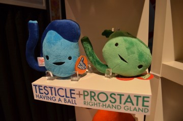 testicle_and_prostate